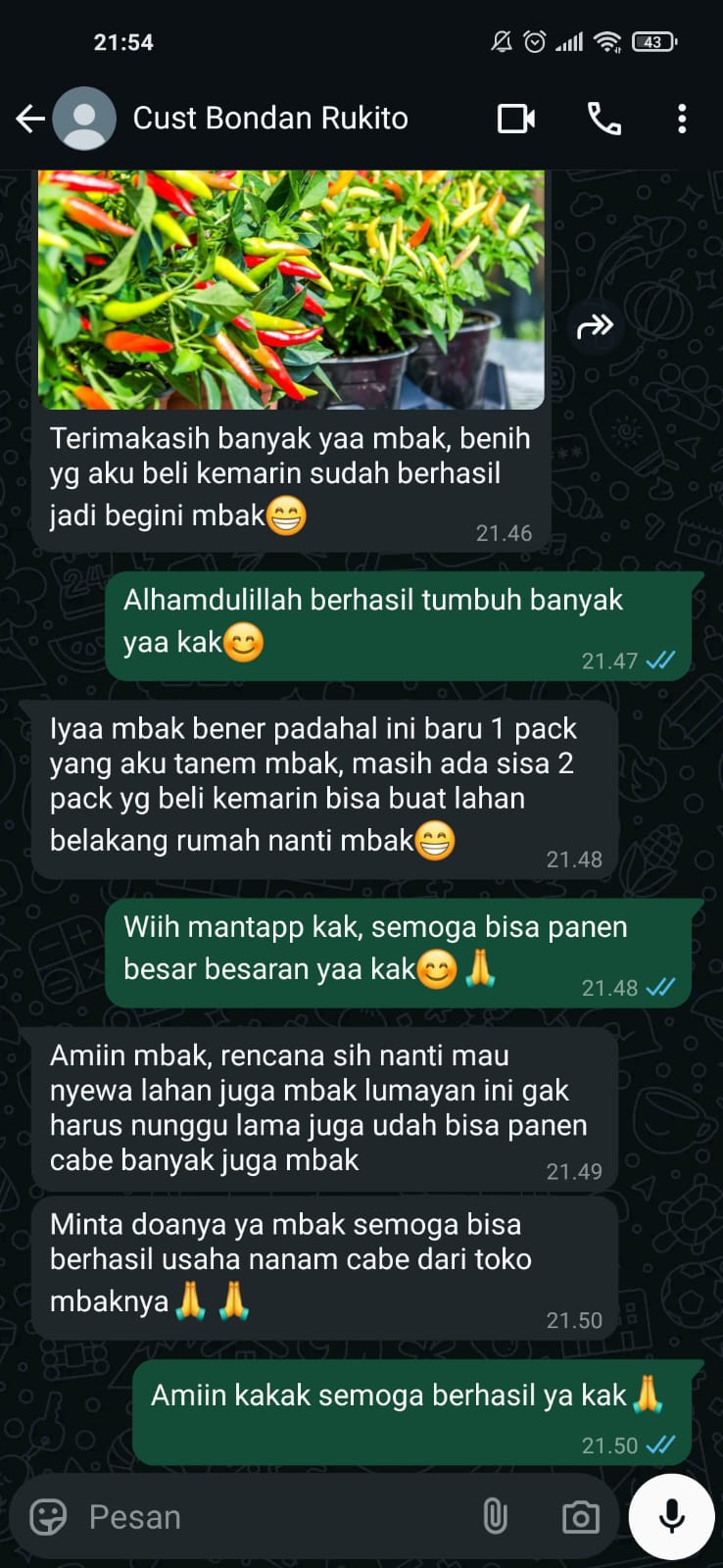 WhatsApp-Image-2025-01-28-at-12.28.35-1.jpeg
